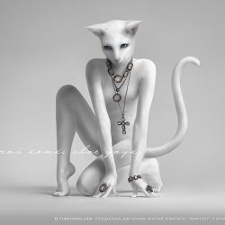 lg_25065091_ffmstudio_konplott_cat_game_IM_новый размер_zhernosek