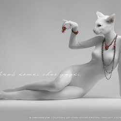 lg_25065101_ffmstudio_konplott_cat_game_IM_новый размер_zhernosek