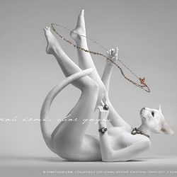 lg_25065131_ffmstudio_konplott_cat_game_IM_новый размер_zhernosek